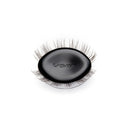 Amplify / Minx / 12mm - Medium